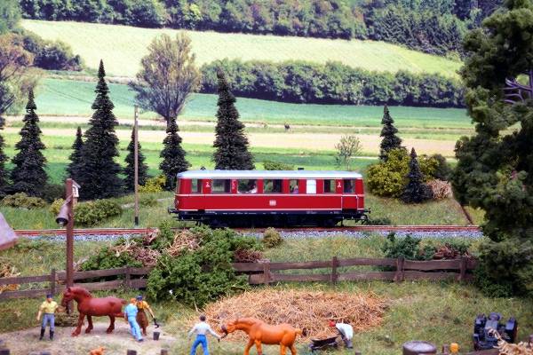 Pferdekoppel; Foto: TOKAALEX, mit freundlicher Genehmigung